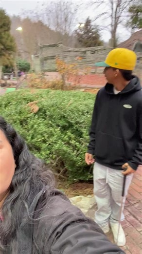 Explore the Christmas LIVE Incentive Program