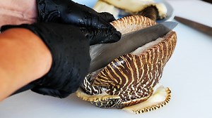 1.3M views · 8.2K reactions | Vietnamese Street Food - MONSTER SEA SNAIL Quy Nhon Seafood Vietnam | Travel Thirsty | Facebook