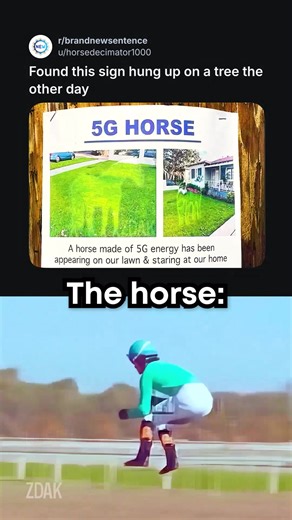 5G Horse Memes That Will Make You Laugh
