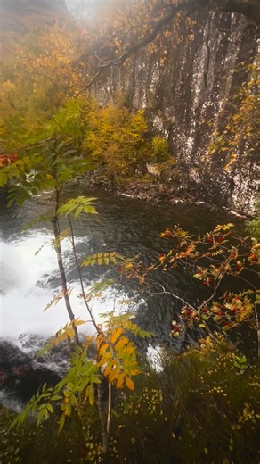 Autumn scenes from Scotland 🍂🍁 | Marc Pickering Photography