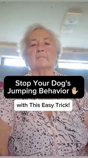 279K views · 575 reactions | Tired of Your Dog’s Jumping? Try This Simple Solution! Comment ‘TRAINING’ if you need high level support to handle common situations and have a well-behaved dog in no time!#dogbehavior #dogtrainingtricks #dogtrainingtips #dogtraining #puppytraining #thelogicaldog #puppytraining #dogtrainingadvice #puppytraining101 | The Logical Dog | Facebook