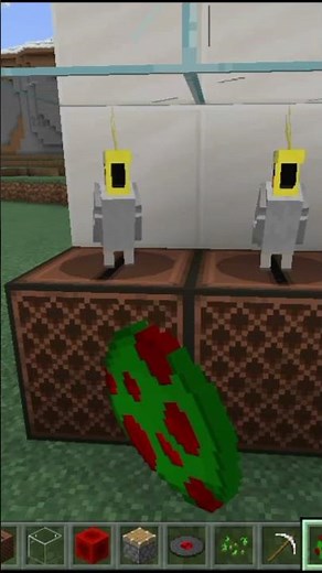 how to make dancing parrots in minecraft