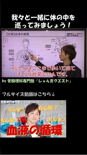 【理科のコツ「血液の循環」】血は全身を旅して戻ってくる【受験理科専門塾しゅん吉クエスト】