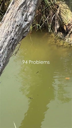 Ai nói câu cá là thư giãn, mình bị lừa 13 năm rồi #caulure #fishing #caucathugian