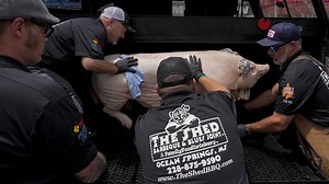 Grand champion crowned the best in pork at barbecue world championship in Memphis