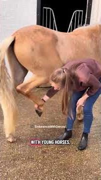 New horse! Introducing… Henry the horse! #horse #equestrian #horseriding #newhorse #horsegirl