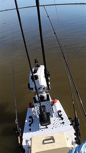 33K views · 115 reactions | The pain is real  Always hurts when you lose a big snook! #snookfishing #thestruggleisreal #fishinglife #fishing #saltwaterfishing | Salt Strong | Facebook