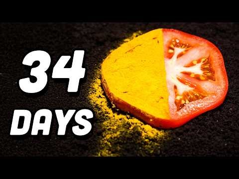 I Put Turmeric on a Tomato... Here's What Happened (Time-Lapse)