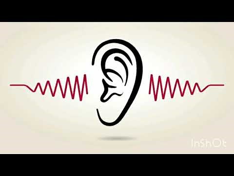 Listening Activity 1 - Present Simple vs Present Continuous