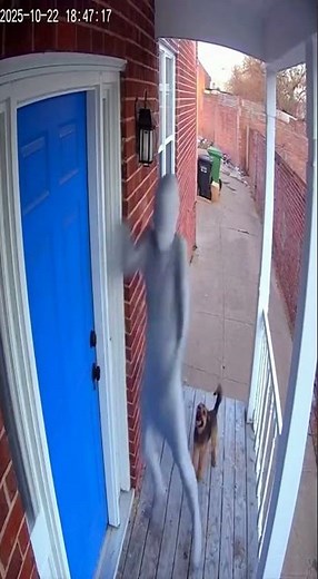 Alien VS Dod Part 8 #sehar