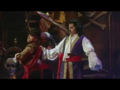 Tom Hewitt as Captain Hook in Cathy Rigby is Peter Pan