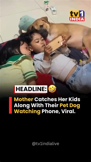 TV1 INDIA खबरों का नया अड्डा* on Instagram: "In a funny and relatable moment caught on camera, a mother walked in to find her kids watching the phone along with their pet dog fully invested in the screen. The children sat quietly while the dog stared just as seriously, making the scene even more hilarious. Someone recorded the moment and it quickly went viral for how perfectly it captured modern family life. Viewers could not stop laughing, saying the dog clearly did not want to miss the episode