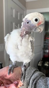 Sprout Report Day 16 Who needs a full tail when you have half a tail! #sproutreport | Lucky Lou and Coco Too