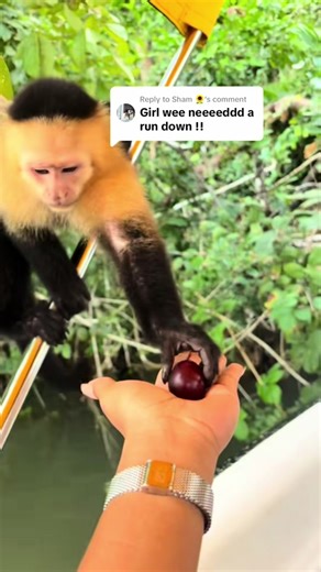 Explore Panama: Ultimate Vacation Ideas and Itinerary