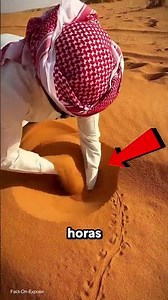 Searching for Sandfish in the Desert🤯😱