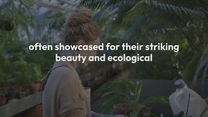 Tropical Plants In Botanical Gardens