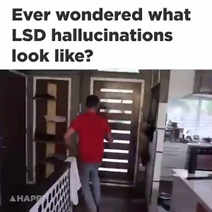 9.7K views · 122 reactions | Ever wondered what tripping on LSD actually looks like? Steve-O has you sorted. | Happy Mag | Facebook