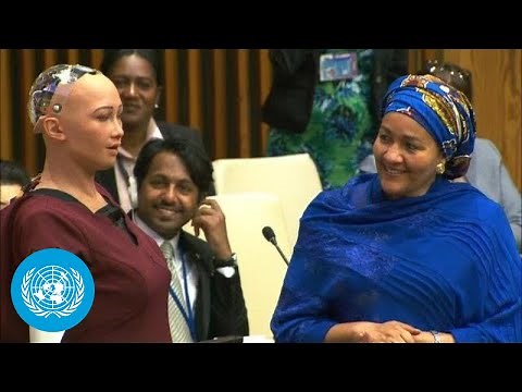 UN Deputy Chief Interviews Social Robot Sophia