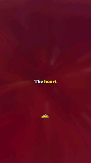 When we can harmonize our heart and our brain, we unlock our super powers as human beings ✨ It all start with self regulation. Choosing our thoughts, words, and emotions to gain full control of our power ❤️ Repost via @mindsetvibrations: | Soul Guidance