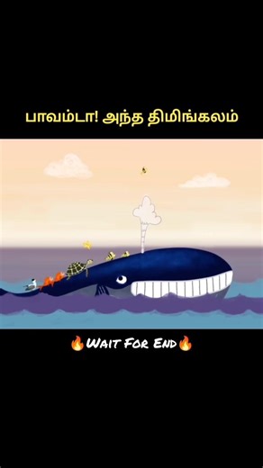 Whale #shortsfeed #shorts #cartoon