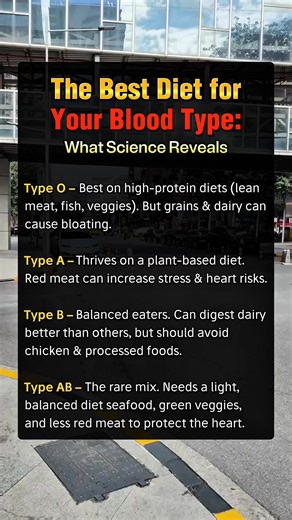 The Best Diet for Your Blood Type: What Science Reveals 😱🥩🥦🧬 🌱🥛🩺🌿 #bloodtypediet #healthfacts #ScienceExplained #DidYouKnow #worldhealth #CuriosityUnlocked #foodfacts #GlobalAwareness #lifehacks #wellnesstips | Albert Dura