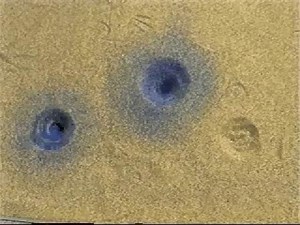 The Antlion Pit: Three Antlion Pits (Time-Lapse Version)