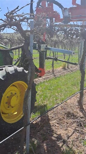 🇬🇧 PRUNEX has a robust design, dual-spring pendular suspension, and electro-hydraulic control system that guarantee optimized, continuous work, allowing the machine to perfectly adapt to the planting framework and the cordon training system. With the PRUNEX Tunnel Pruner, you achieve: ⚙️ Clean and uniform cuts, even under the most demanding conditions. 🚜 Less manual intervention, greater speed, and improved efficiency in every row. 🔗 More information at https://id-david.com/producto/podadora