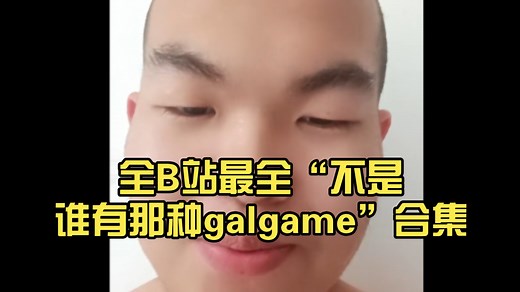 全B站最全“不是谁有那种galgame”合集，一次赤到爽