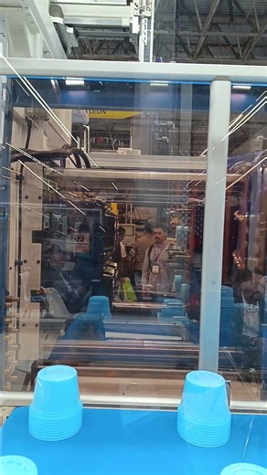 📉 Moretto de México marcando la base. Material bien tratado. Alimentación precisa.