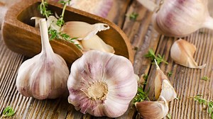 Gilroy Garlic Festival returning for 1st time since 2019 mass shooting