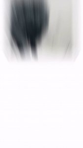 13 reactions | Monochromatic Acrylic Pet Portraits My Art II...