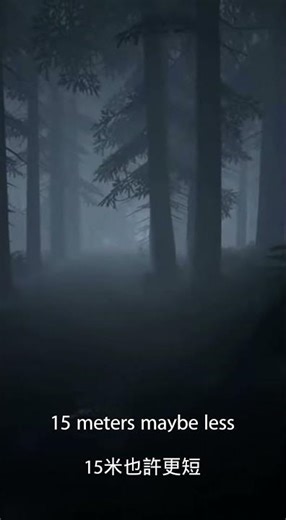 Hidden Camera: Alien Avoiding Lens#Alien #HiddenCamera #Forest #POV #Alien #HiddenCamera