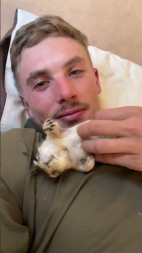 Rescue squirrel cuteness 🐿️🥰 #animalshorts