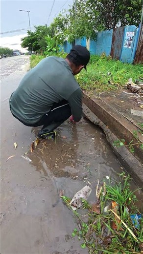 Epic Drain Cleanup: Removing a Huge Trash Blockage #shorts #uncloggingdrains #satisfying