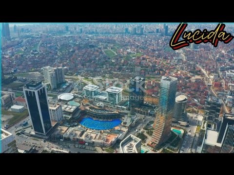 23 FEB 26 : Global Economic Strategies: Fast vs Safe