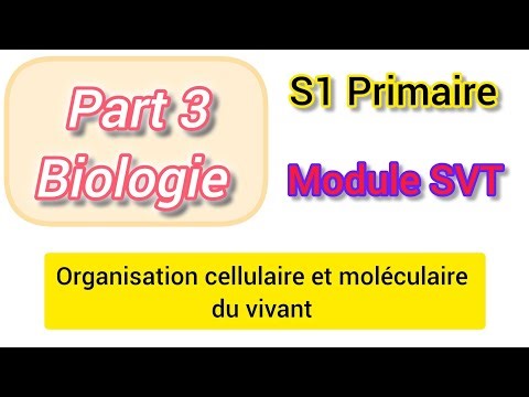 Organisation cellulaire et moléculaire du vivant . Part 3