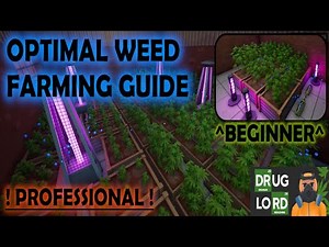 From Dealer To Kingpin! | Optimizing Your Farm | Drug Lord Tycoon