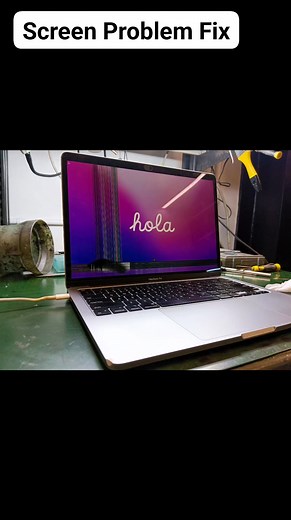 Unit: Macbook A1708  Problem: Screen Problem   : #133 G. Roxas...