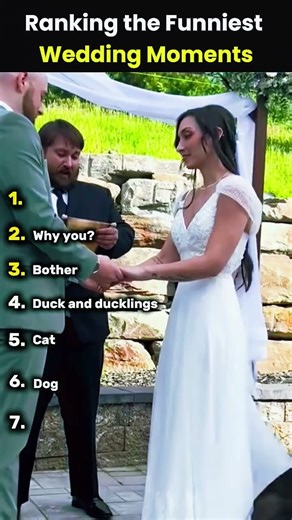 Ranking the Funniest Wedding Moments #funnyvideos