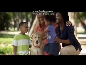 Chuck E. Cheese's Ad- Dog Walking (2012)