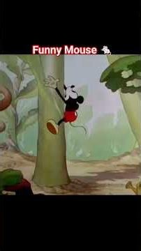 Funny Mouse Cartoon Animation |Relaxing Cartoon Animals