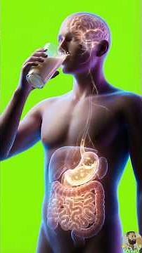 Soya Bean: Benefits, Risks & What Happens After You Eat It