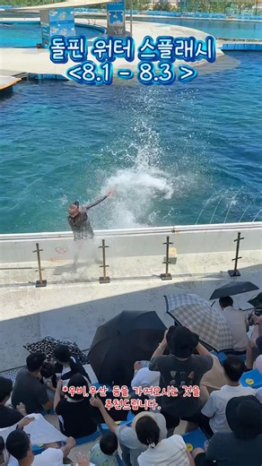 🐬돌핀 워터 스플래시🫧 시원하게 흠뻑 젖고 가세요! #거제씨월드 #거제여행 #거제핫플 #워터밤 #돌고래