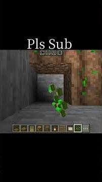 Minecraft When I Need A 2×2 House In 1 Minute #shorts