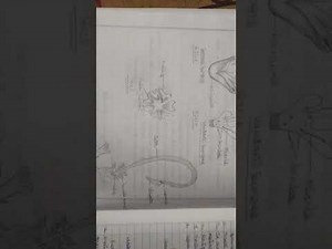 Class 11 Biology pratical file Cbse