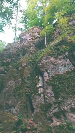 Sonidos en el bosque de Eslovaquia. 2026