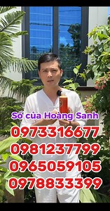 93K views · 1.2K reactions |  THÔNG BÁO QUAN TRỌNG  Hiện có trang...