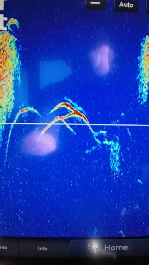 Bucks Lake is on fire right now! 🎣 Kokanee are stacked up near tributary mouths, and we’re getting 25–30 bites an hour. Run gold blades with a T-Pex, tip it with Goomba garlic and oil-soaked corn, and drop it to 40 feet — that’s the sweet spot. Only about a week and a half left before the bite slows, so get in on Kokanee Fest 2025 while you can! 🐟🔥 Book your next fishing adventure with us 👉🏻 Bryan Roccucci ☎️ 530-370-1001 🛒 www.catchamerica.com | Catch America