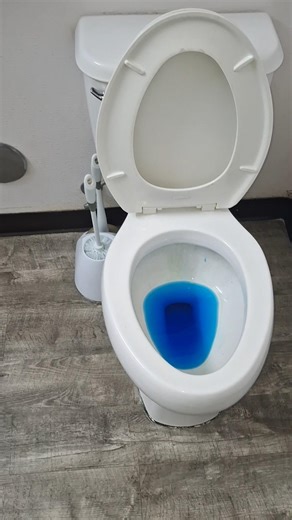 2011 Sterling Windham Dye Test