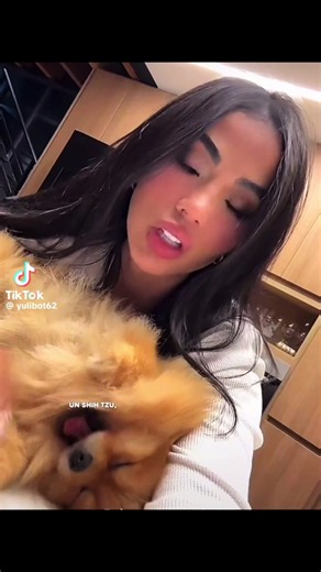 Perros sin raza: por qué el valor está en su corazón